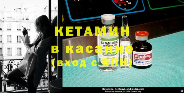 крисы Алзамай